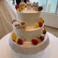 パティシエさんとの打ち合わせでお願いしていたちいかわケーキ