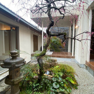 廊下から見える中庭|741102さんの三瀧荘の写真(2394092)