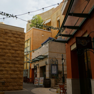 チャペルまでの道中1|741110さんのCITTA' WEDDING  （LA CITTADELLA内)の写真(2420442)