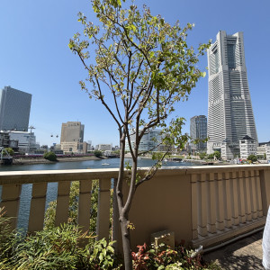 披露宴会場から出た庭から見える景色|741126さんのアニヴェルセル みなとみらい横浜の写真(2424993)