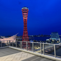 めちゃきれいでした！