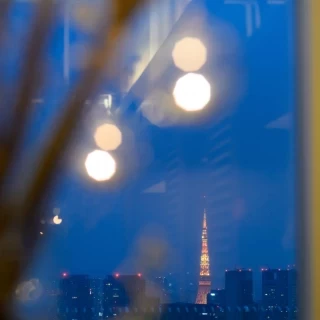 披露宴会場から見える景色