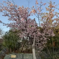 観月邸梨宮の外観です