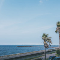 会場からの景色