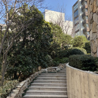 晴れていたら階段でも写真が撮れるそうです。