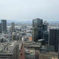 披露宴会場から見た景色