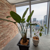 フォトスポット