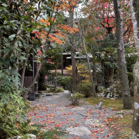 秋のお庭