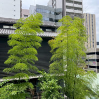 テラスから見た外観