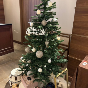 ゲスト待合室にも別のクリスマスツリーが飾られてました！|741969さんのアルマリアンTOKYOの写真(2415708)