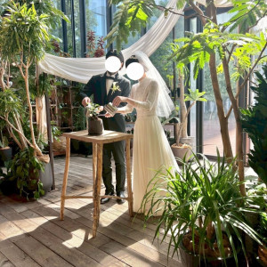 水合わせの儀ガジュマル|742085さんのMEDI(メディー)の写真(2536520)