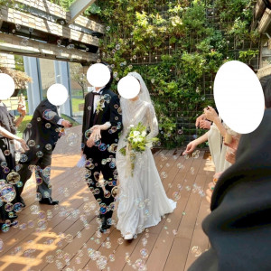 グリーンウォールでグリーンシャワーとバブルガン|742085さんのMEDI（メディー）の写真(2536521)