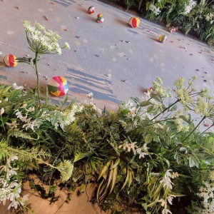 折り鶴紙風船シャワー|742128さんのザ オーク ガーデン／別邸 木屋の写真(2572114)