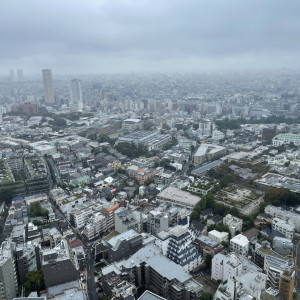 ソレールからの景色|742142さんのセルリアンタワー東急ホテルの写真(2568021)