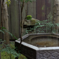 裏庭の一角