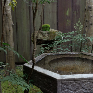 裏庭の一角|742161さんの萬屋本店 - KAMAKURA HASE est1806 -の写真(2472977)