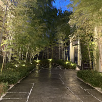 入ってすぐの竹林