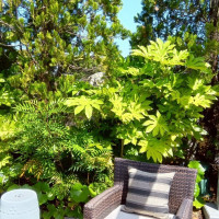 テラスで歓談することもできます。