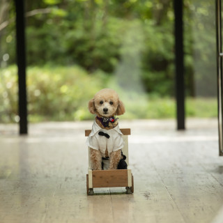 愛犬も参加できるチャペル