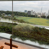 上野公園の池が見えます。
