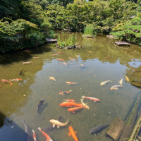 庭園