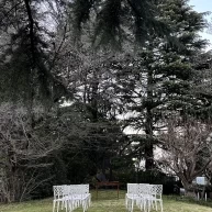 緑に囲まれたガーデン挙式