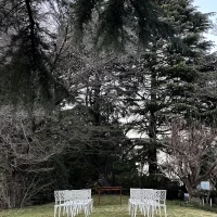 緑に囲まれたガーデン挙式