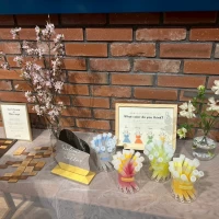 ウェルカムスペース