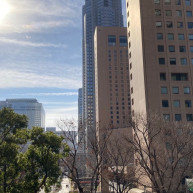 披露宴会場からの景色