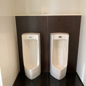 お手洗い|742783さんのベイサイドホテルアジュール竹芝の写真(2567440)