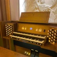 オルカンが本格派