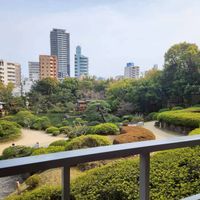日本庭園の景色
