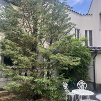 この木に飾り付けができます。