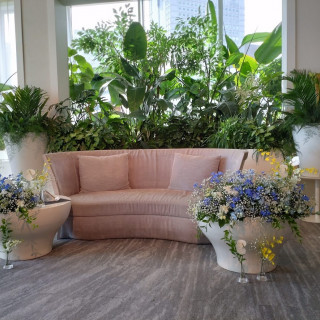 ソファコーディネート