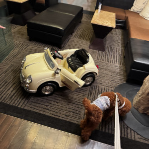 わんちゃんも乗れる車|743382さんのTHE CLASSICA BAY RESORT （ザ クラシカ ベイリゾート）の写真(2407491)