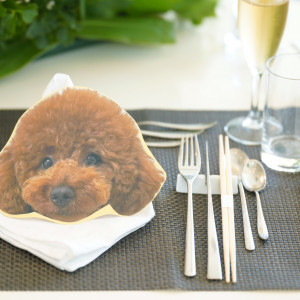 愛犬のカンペ|743382さんのTHE CLASSICA BAY RESORT (ザ クラシカ ベイリゾート)の写真(2599603)