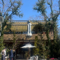 庭から見た景色