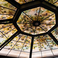 一目惚れした天井