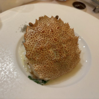コース料理