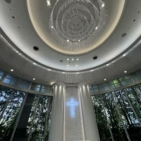 街中で緑を感じることができます。