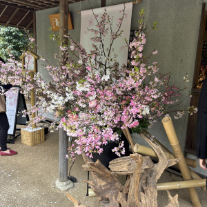 桜の時期おすすめ|743716さんのグランドプリンスホテル高輪 貴賓館の写真(2419016)