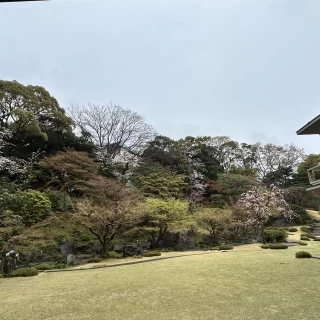 雨が降っていましたがそれも魅力に変えるほどの景色でした。