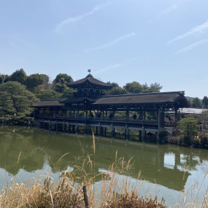 庭園|743905さんの平安神宮会館の写真(2411083)