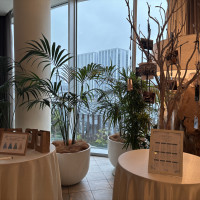 観葉植物も豊かで自然な雰囲気
