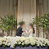 ファーストバイト