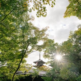 敷地内から見れる八坂の塔