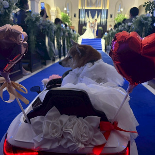 挙式にてリングドック