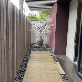 エントランスの桜が綺麗でした。