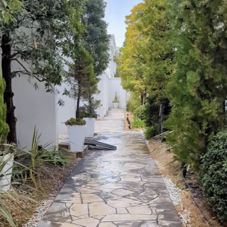通り道