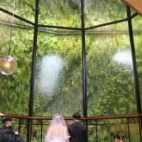 緑は雨の日でも綺麗です